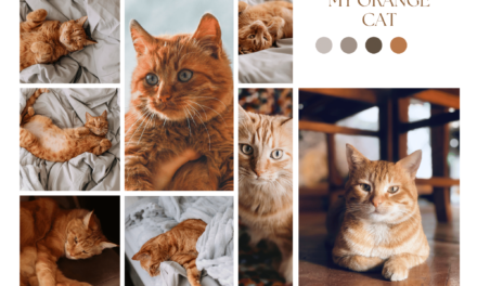 The Fascinating World of Orange Cat Breeds: A Comprehensive Guide